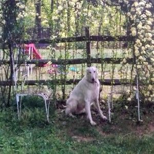 Meet your Posher, Sandy